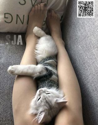 《楚汉风云》电视剧
