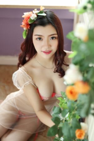 朋友的姐姐中字